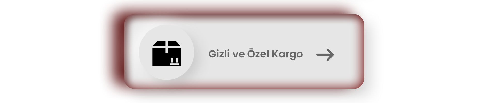 Ürün tanıtım görseli 2